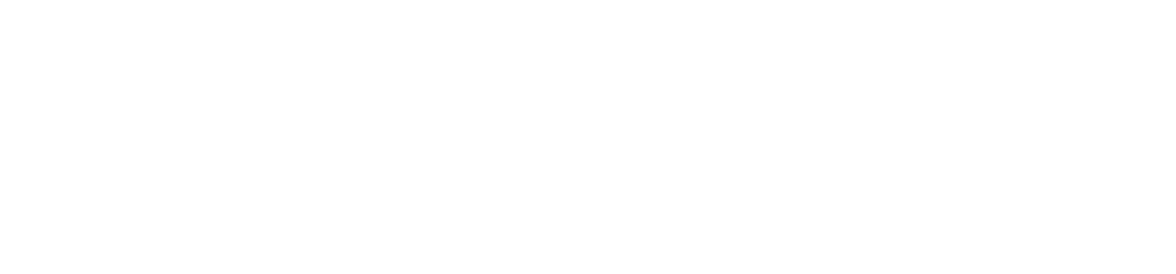 nusenda white logo